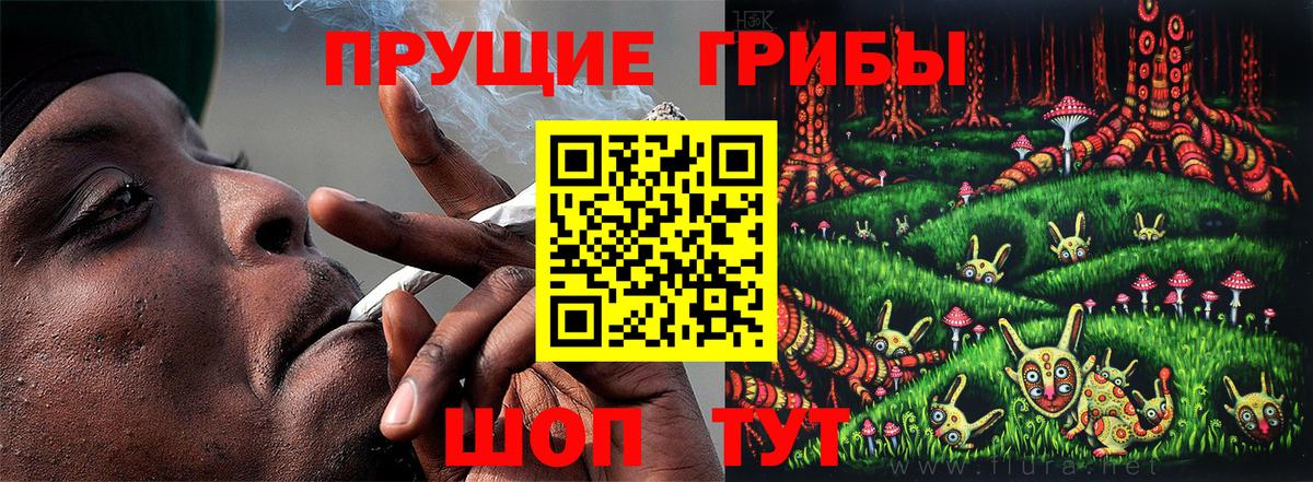 Домодедово  Галлюциногенные грибы прущие грибы  Вход с VPN 