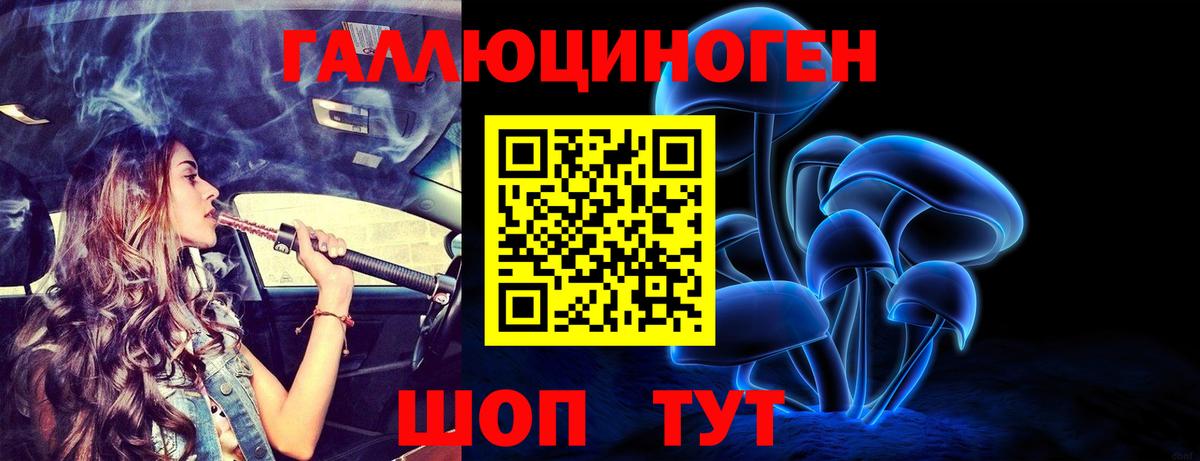 Псилоцибиновые грибы мицелий Домодедово